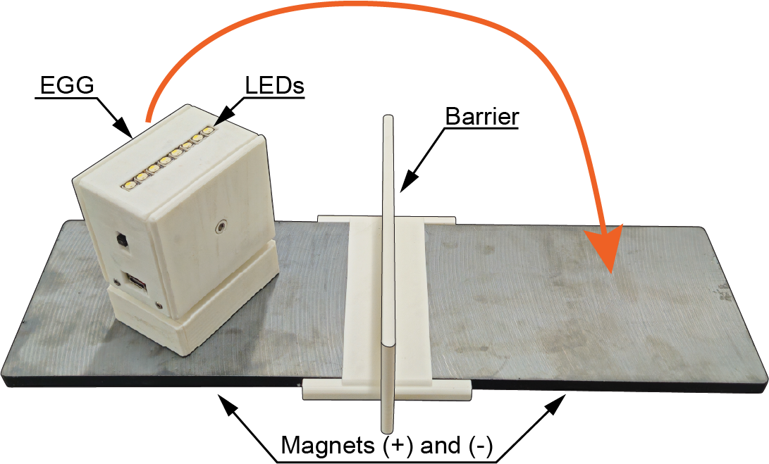 EGG transfer task diagram showing how the device evaluates hand function